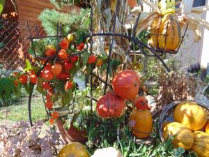 Najlepše urejena domačija na temo jesen in buče 4